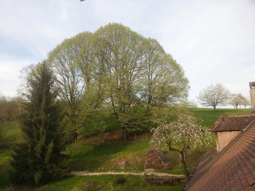 Gîte du château de Feschaux, Jura Villeneuve-sous-Pymont Extérieur photo