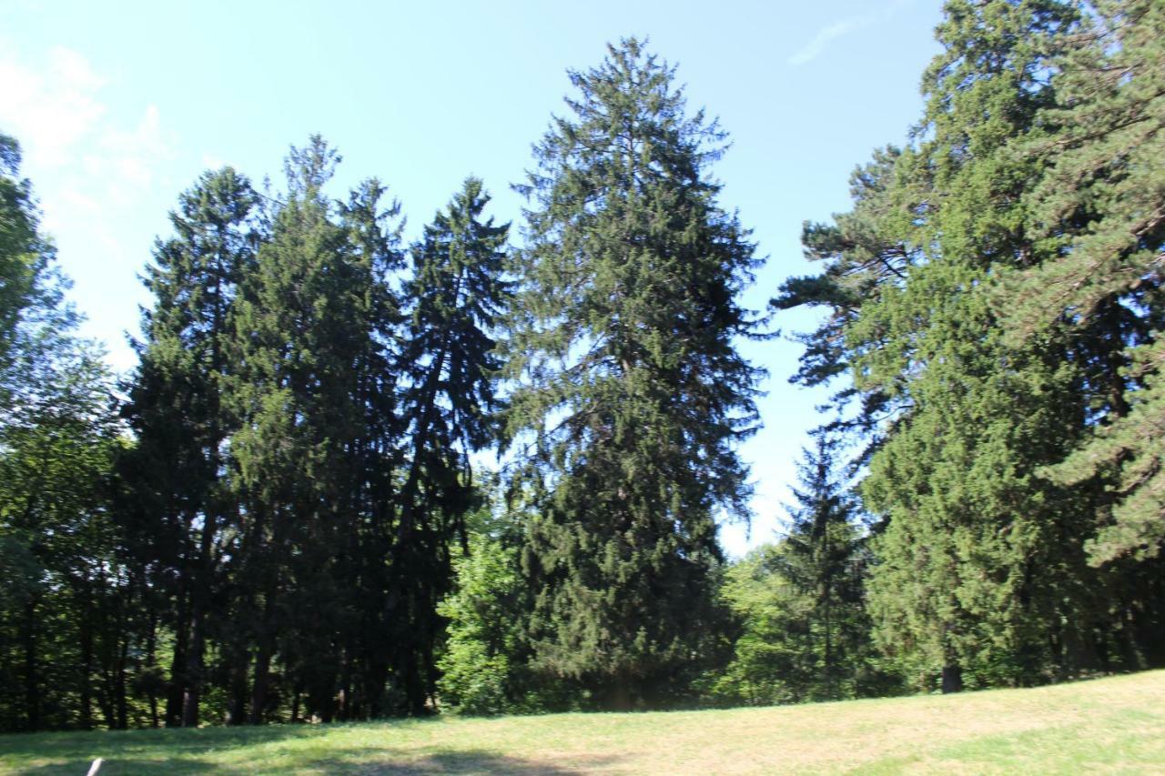 Gîte du château de Feschaux, Jura Villeneuve-sous-Pymont Extérieur photo